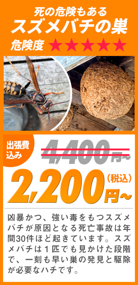 死の危険もあるスズメバチの巣
