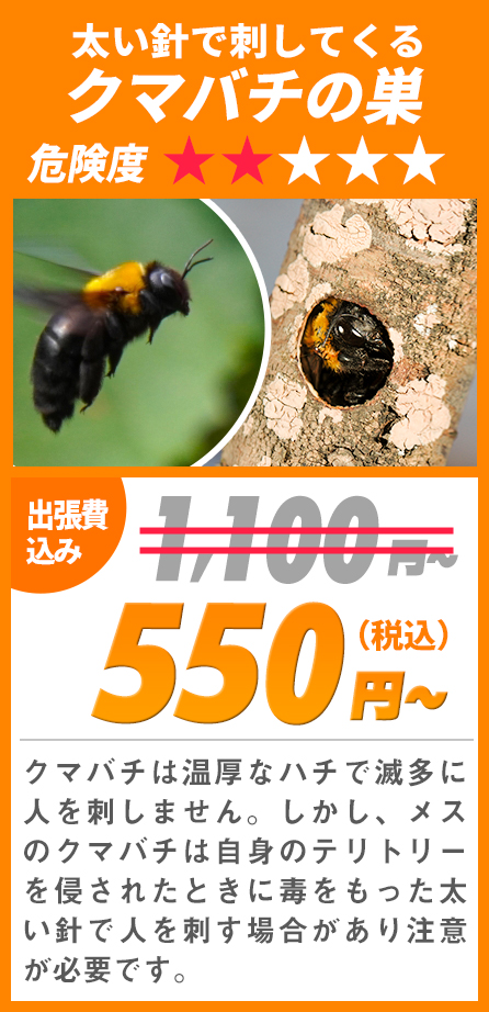 太い針で刺してくるクマバチの巣