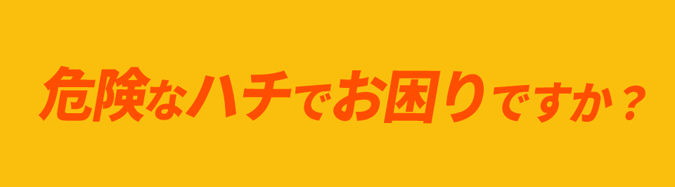 危険なハチでお困りですか?