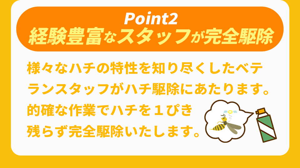 経験豊富なスタッフが完全駆除