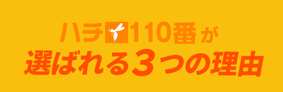 選ばれる3つの理由