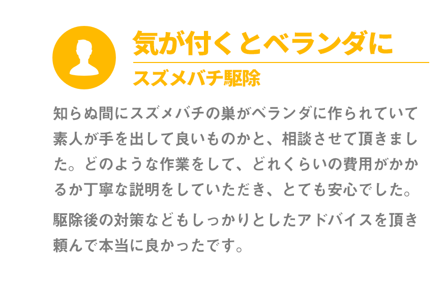 気がつくとベランダに。スズメバチ駆除