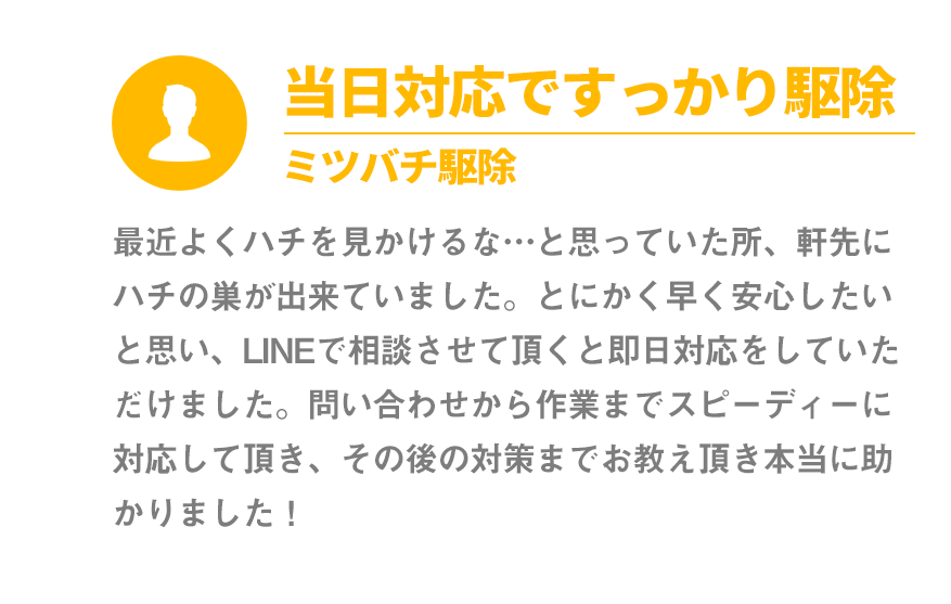 当日対応ですっかり駆除。ミツバチ駆除