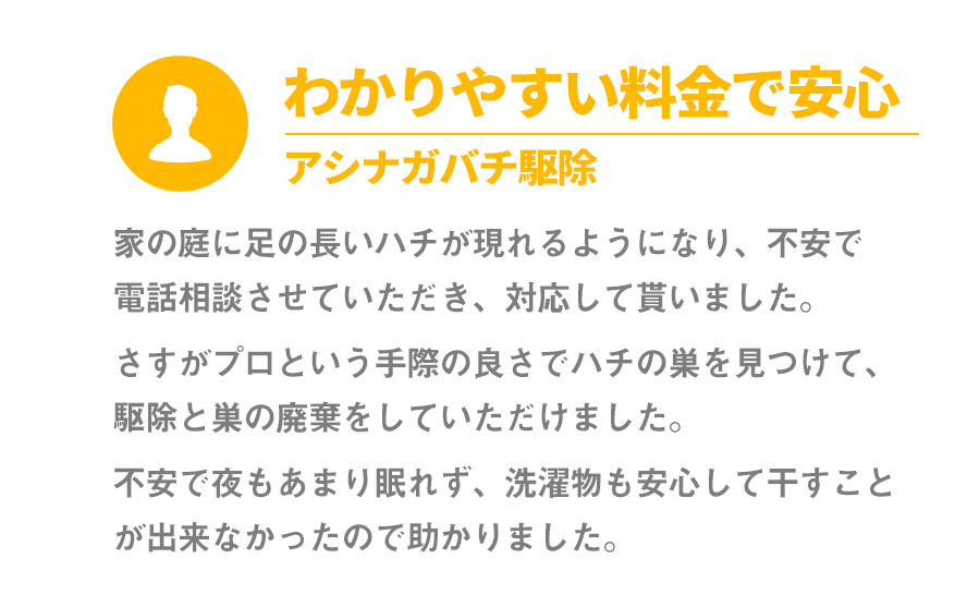 わかりやすい料金で安心。アシナガバチ駆除