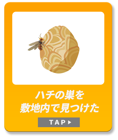 ハチの巣を敷地内で見つけた